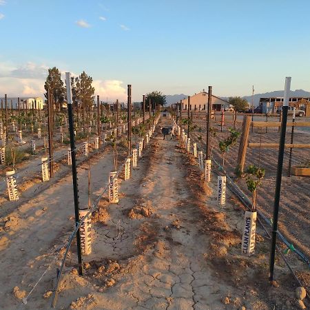 Black Star Ranch Vineyard พาห์รัมป์ ภายนอก รูปภาพ